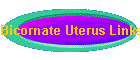 Bicornate Uterus Links