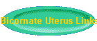 Bicornate Uterus Links